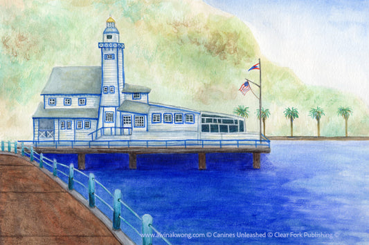 Original Painting of the Catalina Island Yacht Club